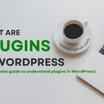 The ultimate guide to understand plugins in WordPress